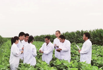 全国科技工作者日|科技工作者访谈&mdash;&mdash;高强：深耕田垄地头间