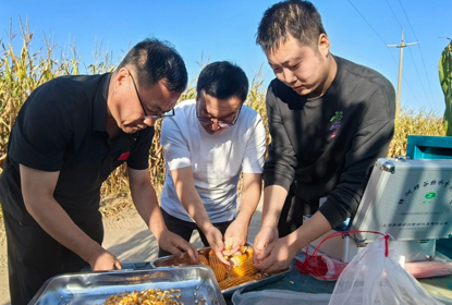 田间地头话农事 | 看科技小院神操作 把盐碱地种成黄金田